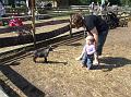 Sofia i  FarmFun 004